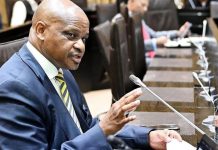 Spotlight on Andy Mothibi to rebuild confidence in NPA Spotlight on Andy Mothibi to rebuild confidence in NPA