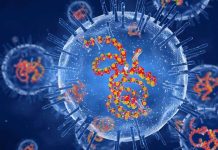 Health Officials Connect Low Vaccination to Outbreaks Health Officials Connect Low Vaccination to Outbreaks