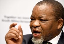 Minister reveals big change to BEE in South Africa Minister reveals big change to BEE in South Africa