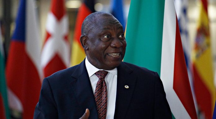 The silver bullet to save South Africa The silver bullet to save South Africa