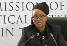 IPID Head Reaffirms Claims of Political Protection IPID Head Reaffirms Claims of Political Protection