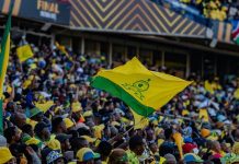 Sundowns Suspend Analyst for Leaking Tactics Sundowns Suspend Analyst for Leaking Tactics