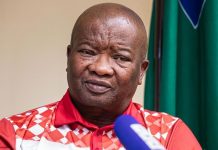 Holomisa Challenges Critics of Army Deployment Holomisa Challenges Critics of Army Deployment