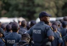 Criminologist Urges Police Approach to Gang Violence Criminologist Urges Police Approach to Gang Violence