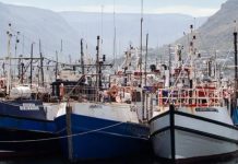 Small-Scale Fishers Urged to Appeal Permit Cuts Small-Scale Fishers Urged to Appeal Permit Cuts