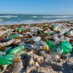 Russian Scientists Create Self-Degrading Plant-Based Plastic Russian Scientists Create Self-Degrading Plant-Based Plastic