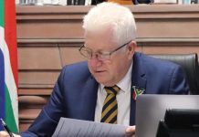 Western Cape Government Calls for Policing Overhaul Western Cape Government Calls for Policing Overhaul