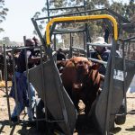 Treasury Agri Dept Unlocking Funds for Vaccines Treasury Agri Dept Unlocking Funds for Vaccines