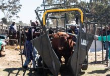 Treasury Agri Dept Unlocking Funds for Vaccines Treasury Agri Dept Unlocking Funds for Vaccines