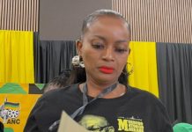 ANC’s Loyiso Masuku Elected Johannesburg’s First Deputy Mayor ANC's Loyiso Masuku Elected Johannesburg's First Deputy Mayor
