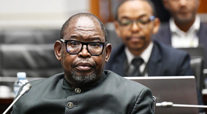 Treasury Rejects B-BBEE Scrapping Amid Economic Friction Treasury Rejects B-BBEE Scrapping Amid Economic Friction