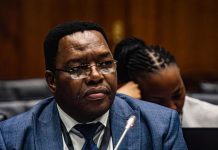 Masemola Claims Mchunu Did Not Communicate Disband Order Masemola Claims Mchunu Did Not Communicate Disband Order