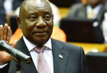 Politics, not policy, at the heart of SA’s job crisis Politics, not policy, at the heart of SA’s job crisis