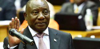 Politics, not policy, at the heart of SA’s job crisis Politics, not policy, at the heart of SA’s job crisis