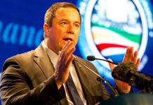 DA senior leaders’ perks and salary top-ups revealed DA senior leaders' perks and salary top-ups revealed