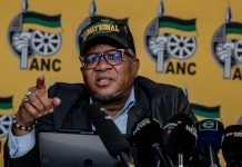 ANC removes Jeff Radebe as KZN convenor, appoints Mike Mabuyakhulu ANC removes Jeff Radebe as KZN convenor, appoints Mike Mabuyakhulu