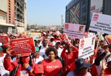 South African Government Employees Overpaid and Incompetent South African Government Employees Overpaid and Incompetent