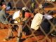 Five Mozambicans Killed in Attacks in South Africa Five Mozambicans Killed in Attacks in South Africa