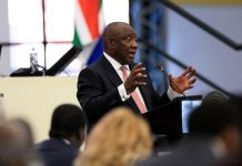 South Africa Leader Seeks to Halt Probe South Africa Leader Seeks to Halt Probe