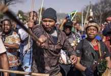 South Africa Announces Deportation of more than 53,000 Foreigners South Africa Announces Deportation of more than 53,000 Foreigners