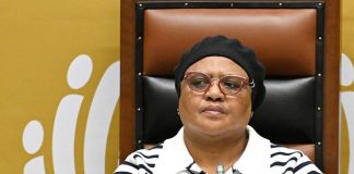 Didiza studies court ruling halting Ramaphosa’s impeachment inquiry Didiza studies court ruling halting Ramaphosa's impeachment inquiry