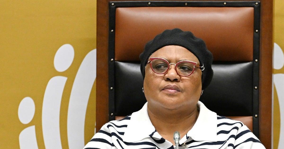 Didiza studies court ruling halting Ramaphosa's impeachment inquiry Didiza studies court ruling halting Ramaphosa's impeachment inquiry