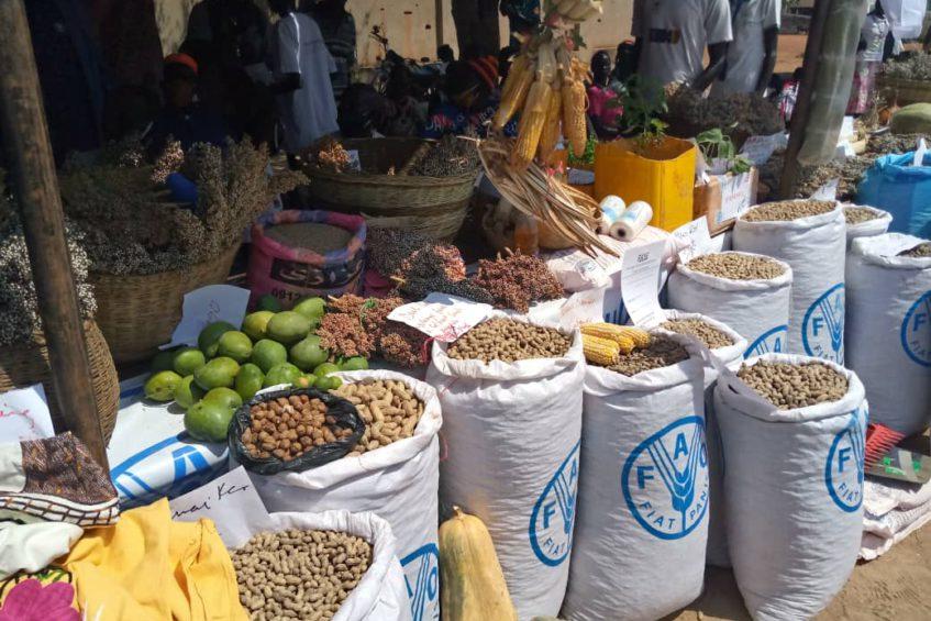 Eat local food, as global crisis deepens, citizens urged Eat local food, as global crisis deepens, citizens urged