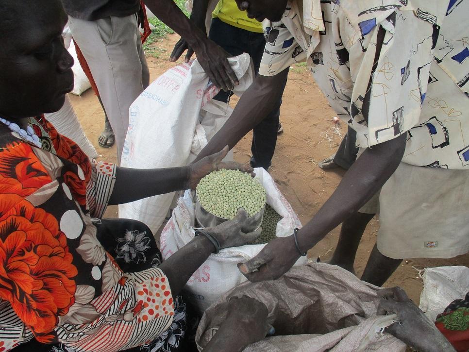 UN Warns Of Looming Widespread Food Crisis In South Sudan - South Sudan