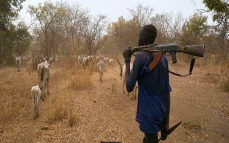 Over 60 people dead in Kapoeta cattle raid Over 60 people dead in Kapoeta cattle raid