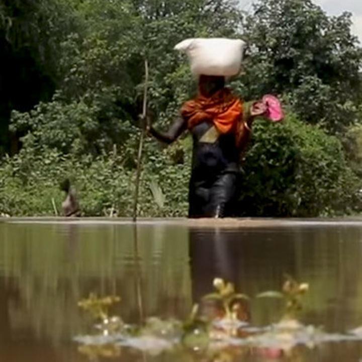 Snakebites leave one dead, 5 admitted in Gogrial East Snakebites leave one dead, 5 admitted in Gogrial East