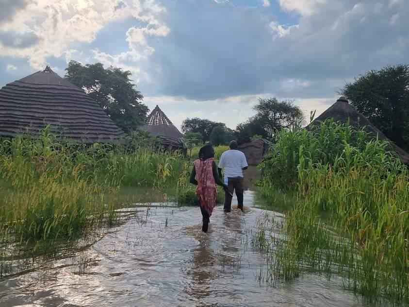 Flood-stricken NBGs acquires snake repellents Flood-stricken NBGs acquires snake repellents