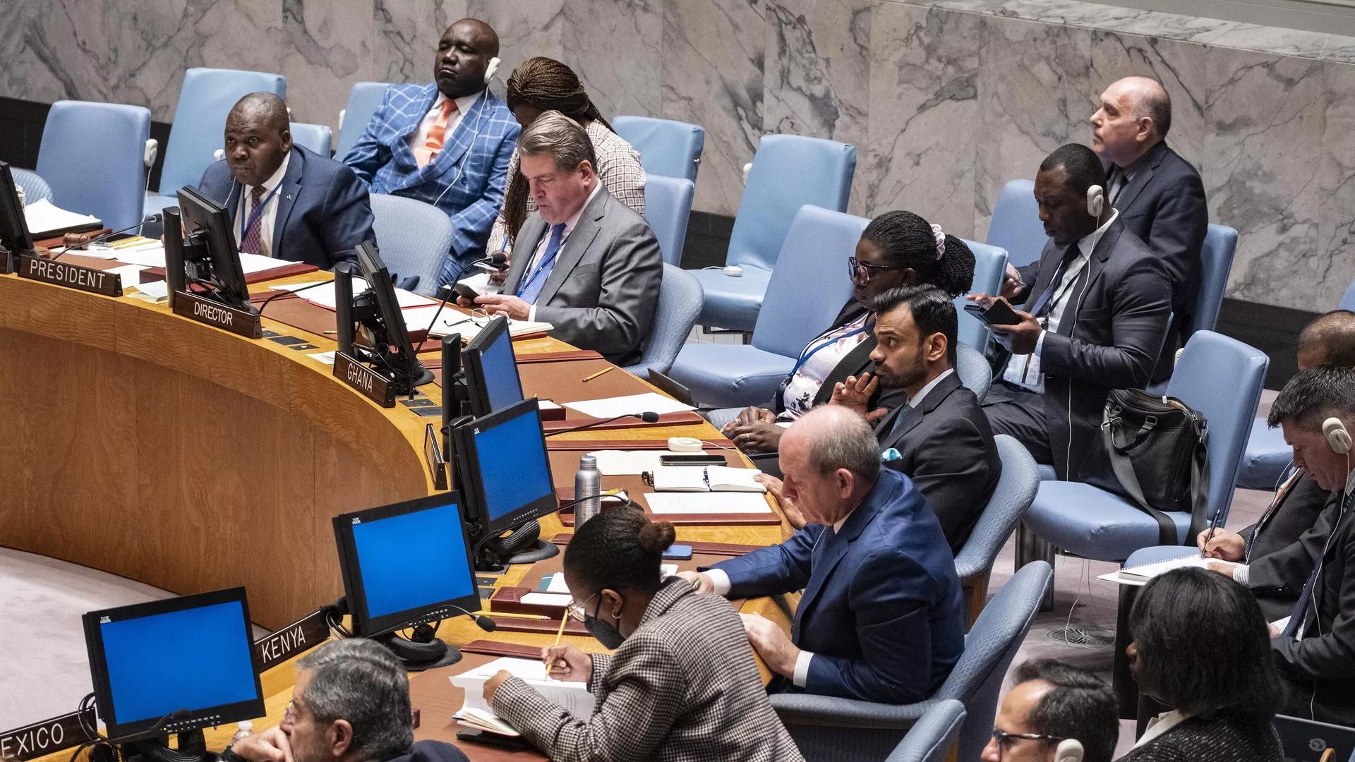 UN Security Council Cannot Remain 'Frozen in the Past' as Africa Demands Changes UN Security Council Cannot Remain 'Frozen in the Past' as Africa Demands Changes