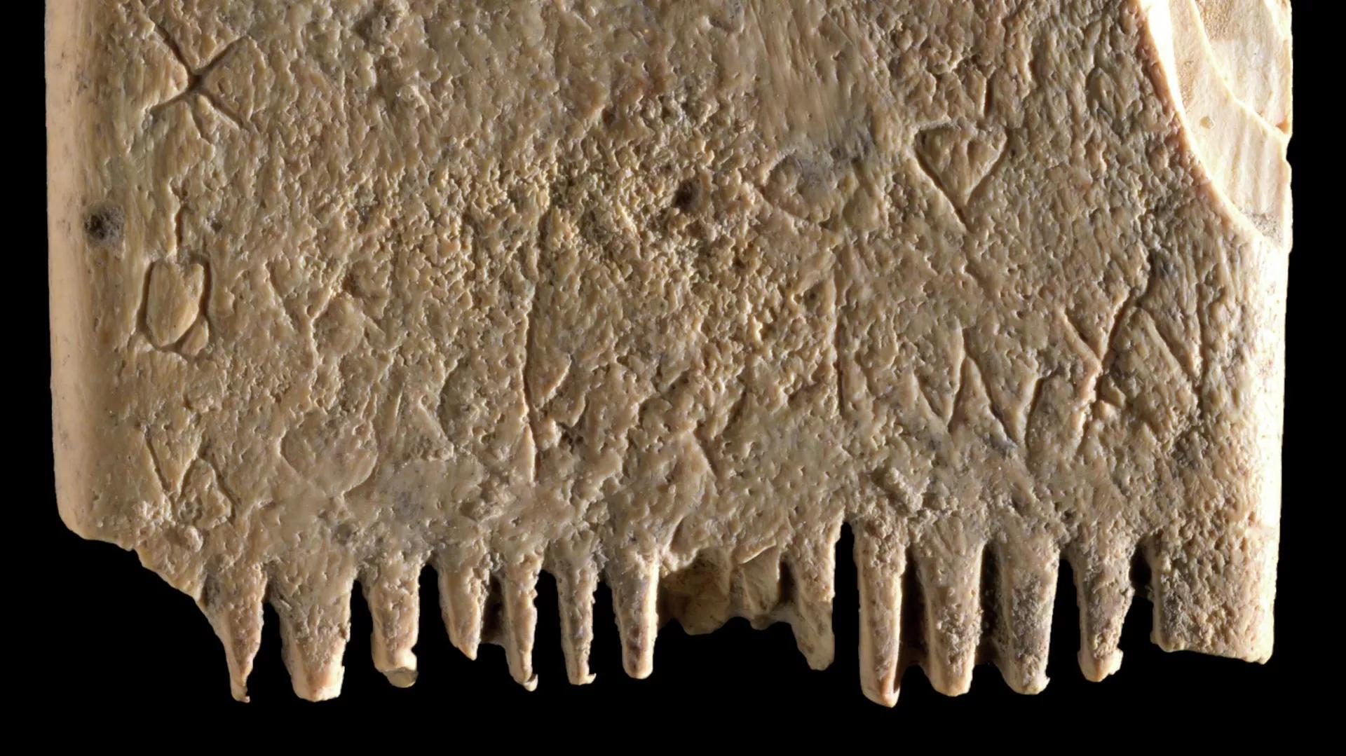 3,700-Year-Old Inscription on Comb Deciphered as Beard-Delousing Spell 3,700-Year-Old Inscription on Comb Deciphered as Beard-Delousing Spell