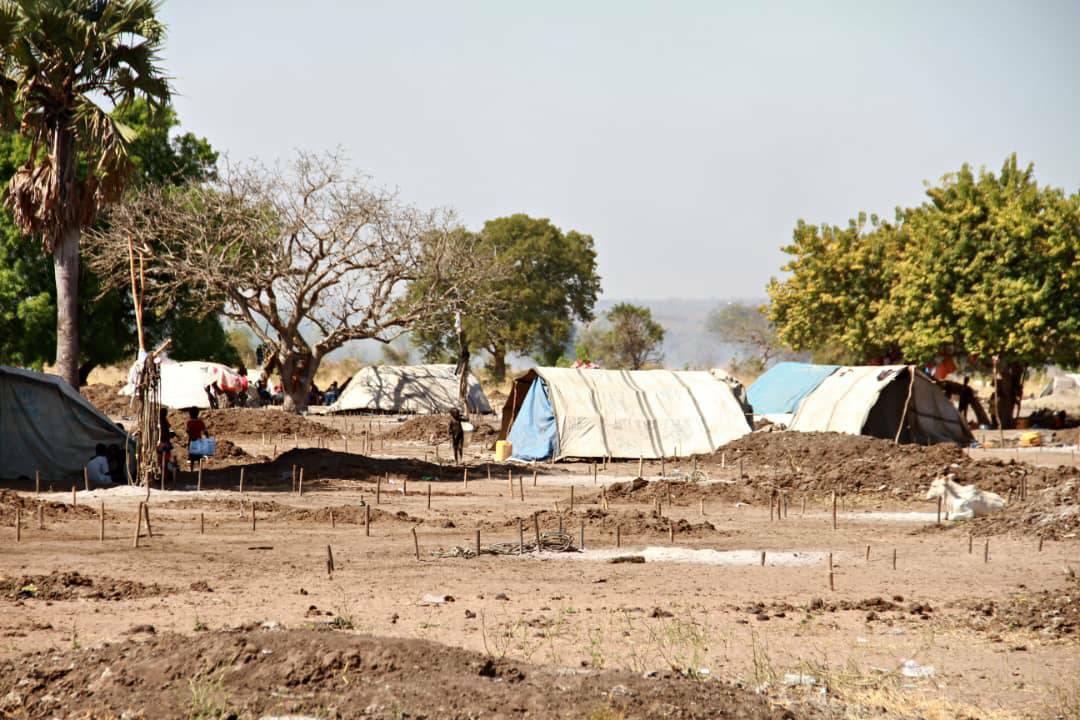 Herders start moving out of Mangala, says CES official Herders start moving out of Mangala, says CES official