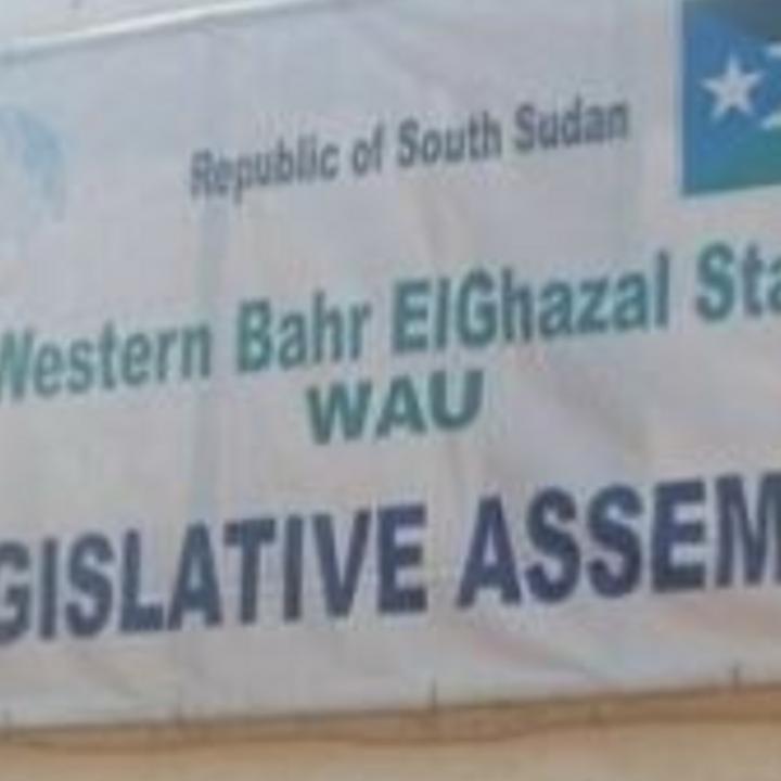 Wau: MPs summon 2 ministers, Raja commissioner over ‘illegal gold mining’ Wau: MPs summon 2 ministers, Raja commissioner over ‘illegal gold mining’