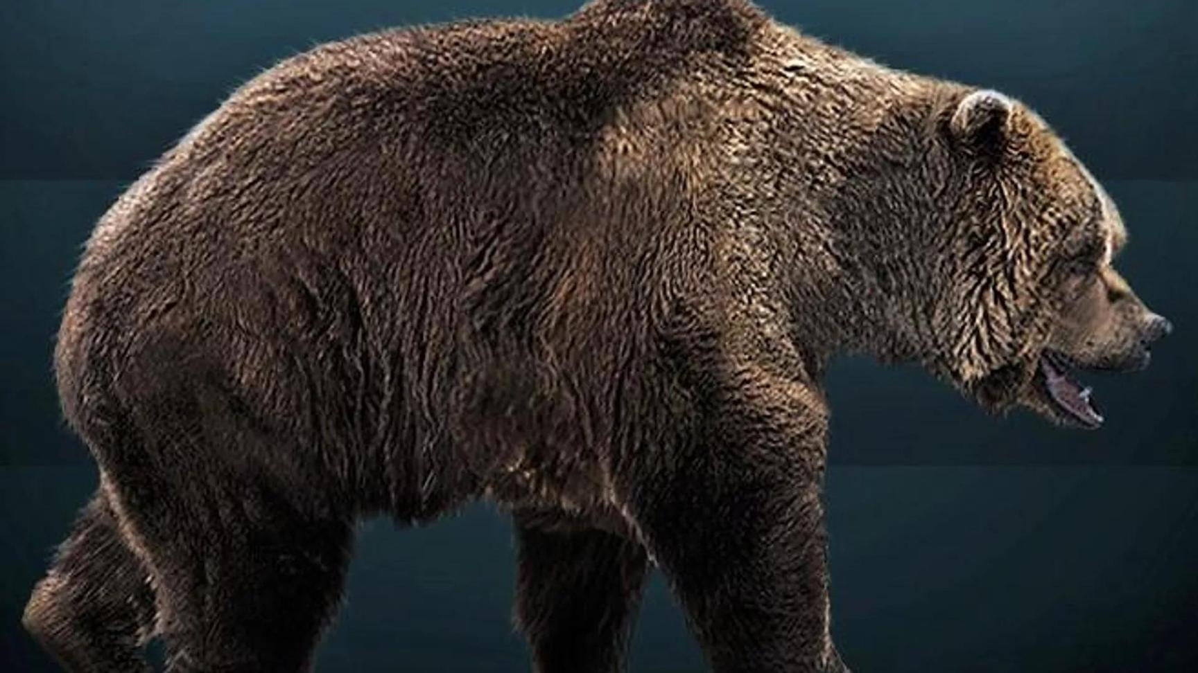 Ancient Fashion: Cavemen Were Already Hunting Bears for Pelts 320,000 Years Ago, Study Says Ancient Fashion: Cavemen Were Already Hunting Bears for Pelts 320,000 Years Ago, Study Says