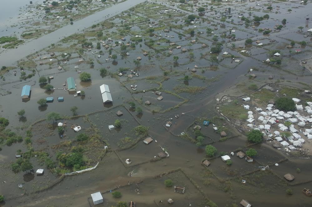 Gov’t approves SSP2B to rescue climate change-affected livestock Gov’t approves SSP2B to rescue climate change-affected livestock