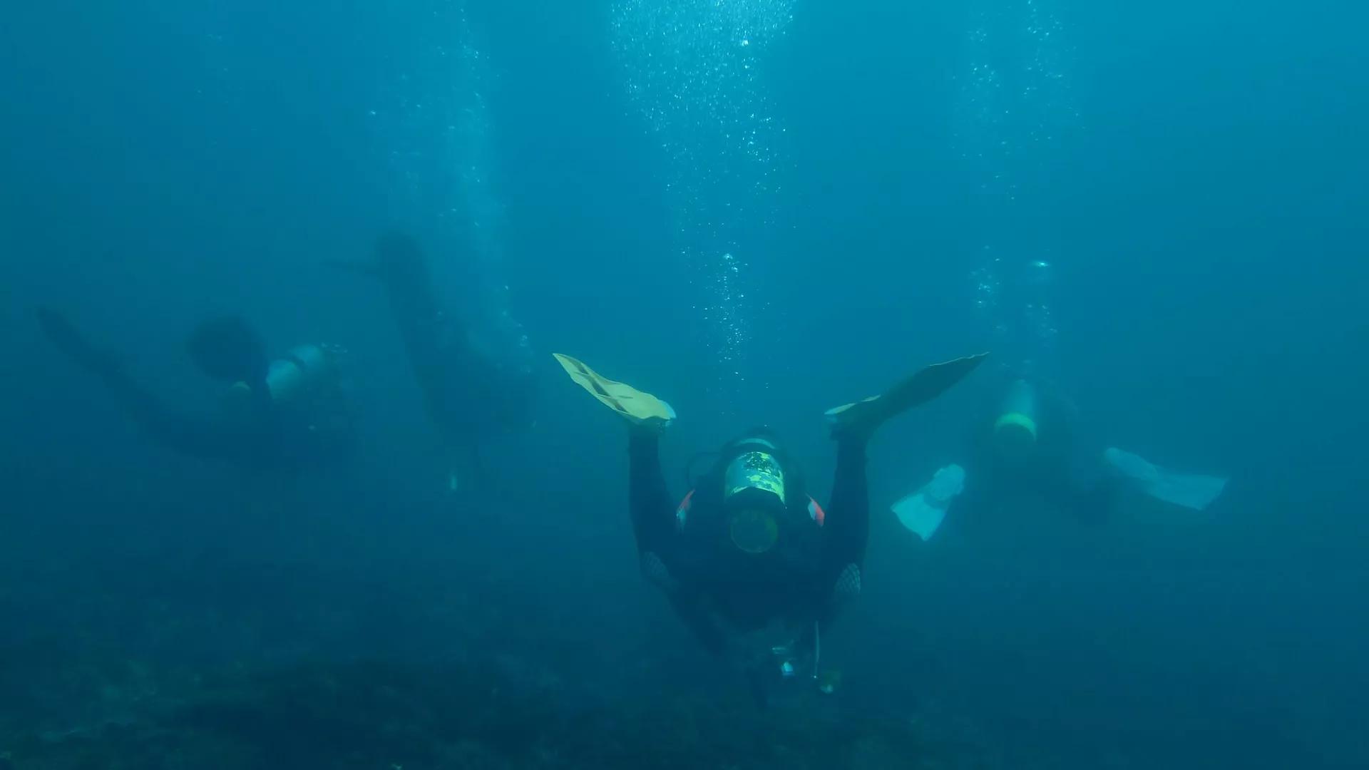 Scientists Identify Mystery of 17th Century Shipwreck, Reports Say Scientists Identify Mystery of 17th Century Shipwreck, Reports Say