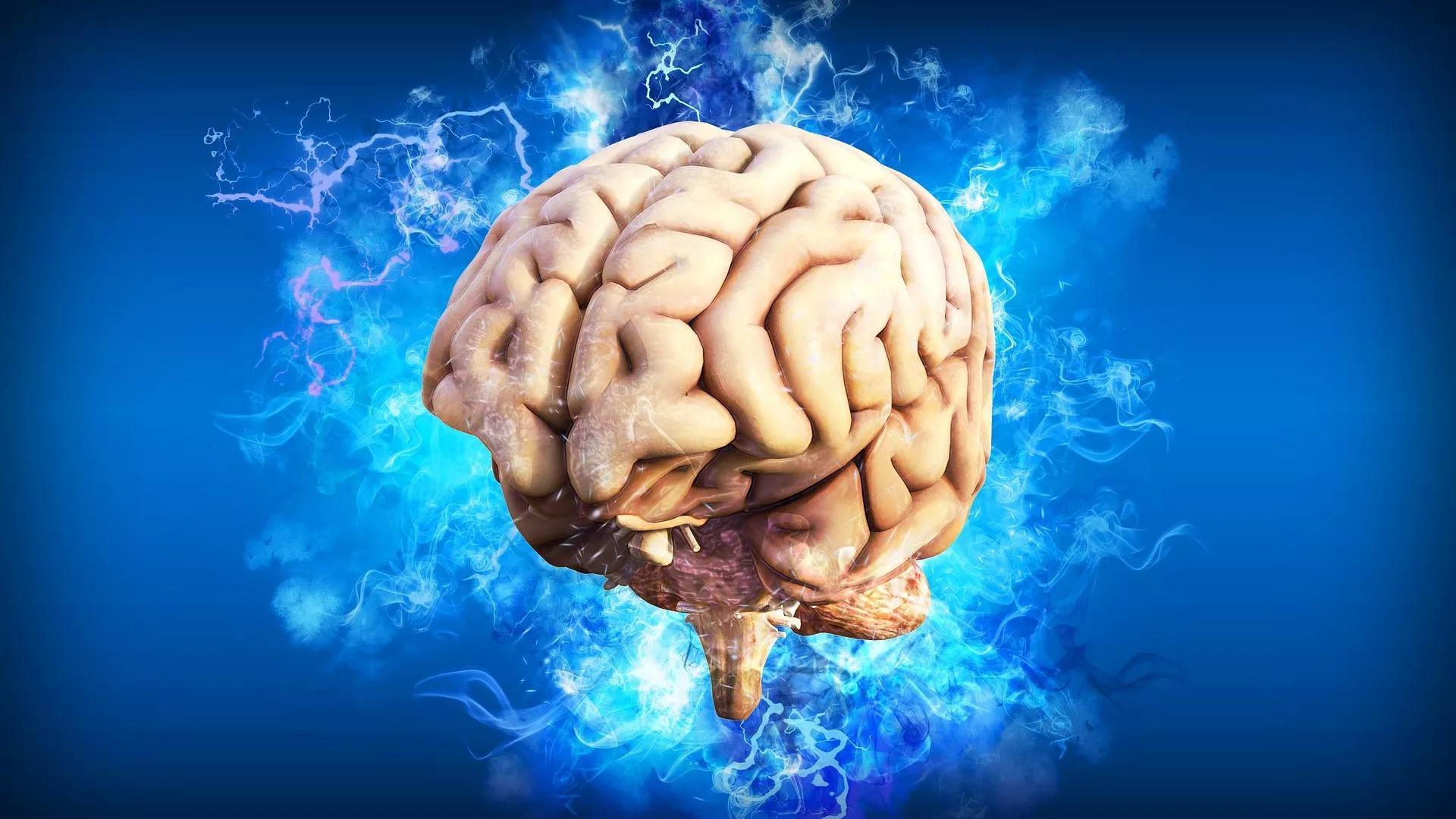 Uncommon Cold: Viral Infections Linked to Dementia, Alzheimer's Disease, Study Finds Uncommon Cold: Viral Infections Linked to Dementia, Alzheimer's Disease, Study Finds