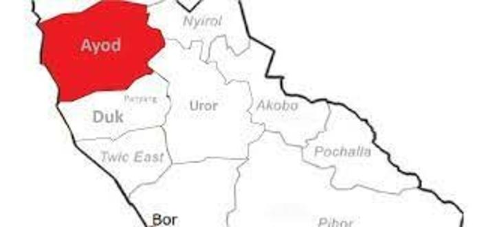 Detained Ayod officials released Detained Ayod officials released