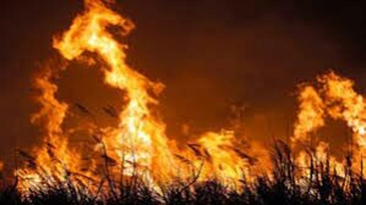 Fire destroys over 200 houses, granaries in Lafon County Fire destroys over 200 houses, granaries in Lafon County