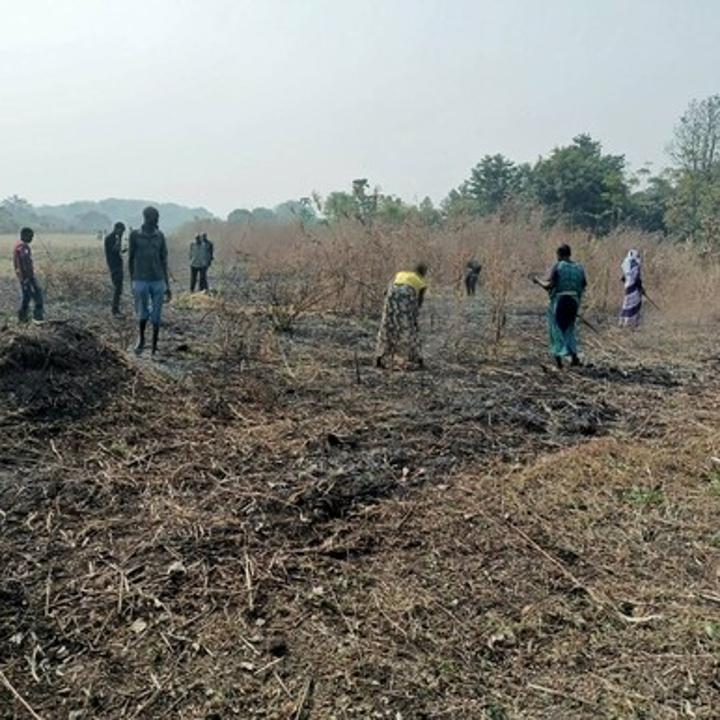 Pochalla youth start opening roads in town Pochalla youth start opening roads in town
