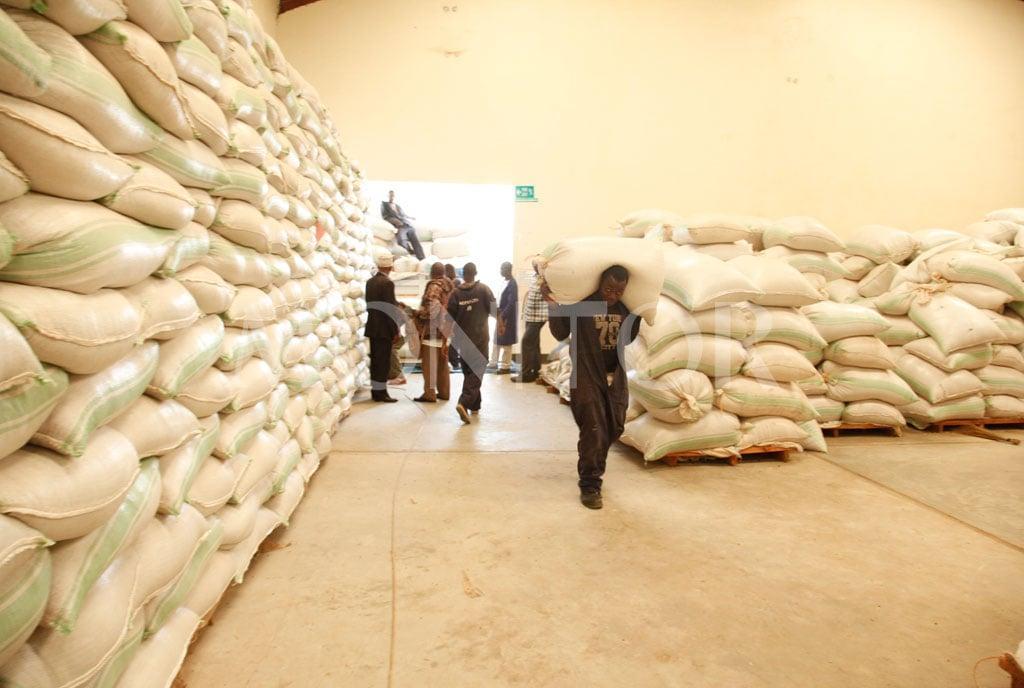 Yakani asks govt intervention in ‘unhealthy maize’ import Yakani asks govt intervention in ‘unhealthy maize’ import