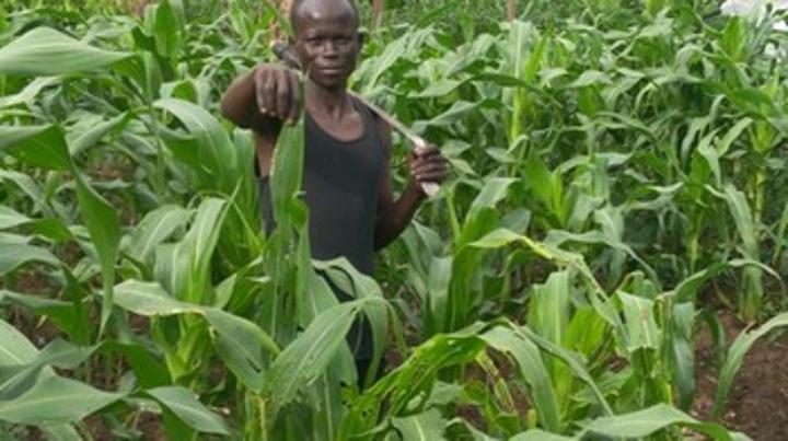 Yei farmers call on gov't to improve security ahead of planting season Yei farmers call on gov't to improve security ahead of planting season