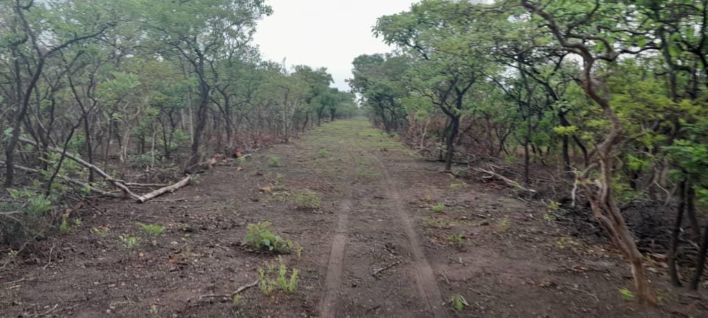 Nadiangere residents clear 65 miles of road with hand-tools Nadiangere residents clear 65 miles of road with hand-tools