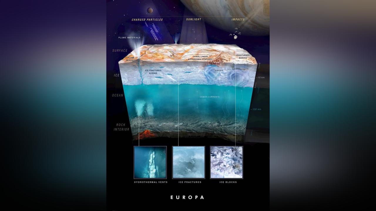 Why Earth is the only planet with plate tectonics Why Earth is the only planet with plate tectonics