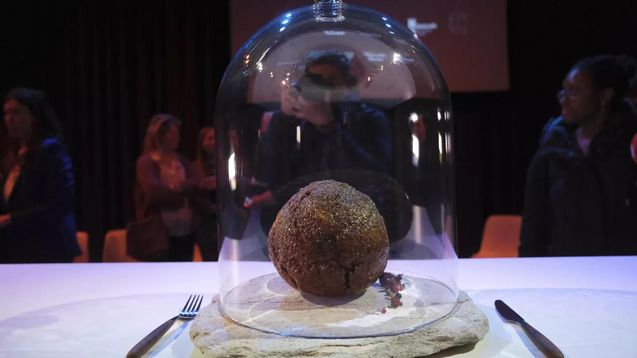 Australian Company Made Meatballs With Wooly Mammoth Protein Australian Company Made Meatballs With Wooly Mammoth Protein