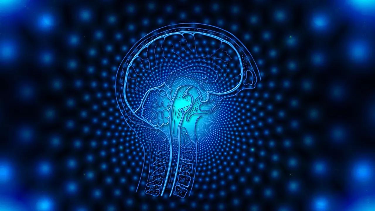 Study Reveals How False Memories Can Spring From Preconceptions Study Reveals How False Memories Can Spring From Preconceptions