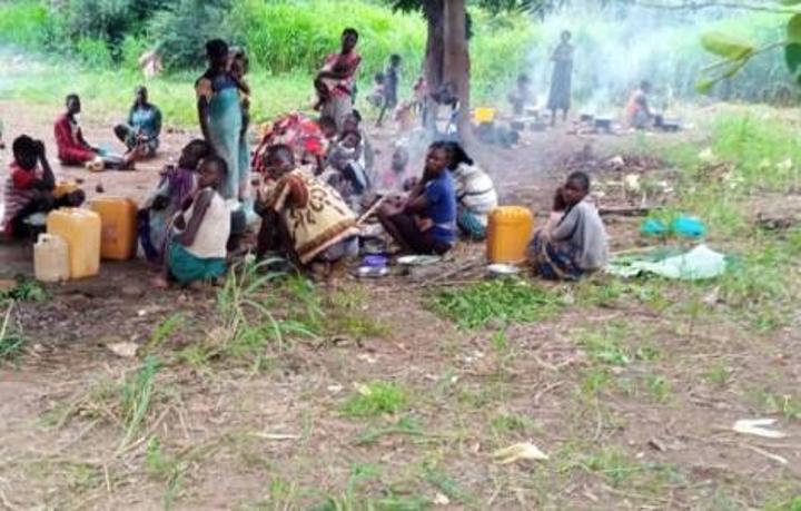 WFP food aid cuts leave South Sudanese among Uganda refugees relying on kitchen gardens WFP food aid cuts leave South Sudanese among Uganda refugees relying on kitchen gardens