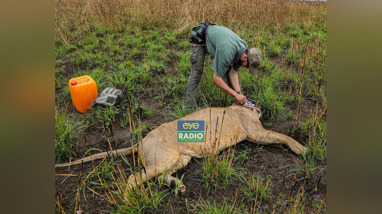 Wildlife ministry to label animals at Badingilo Park Wildlife ministry to label animals at Badingilo Park